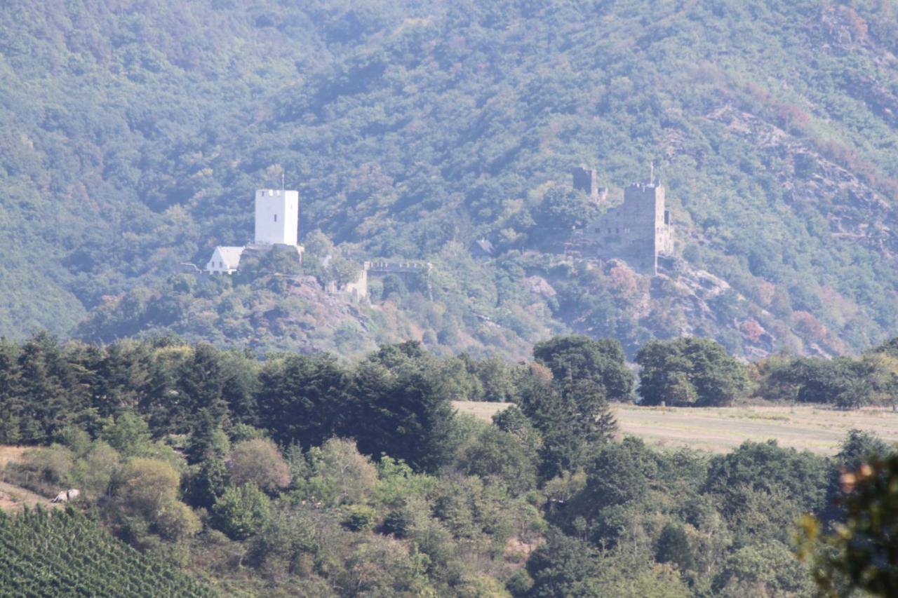 Ferienwohnungen Arnold Boppard Dış mekan fotoğraf